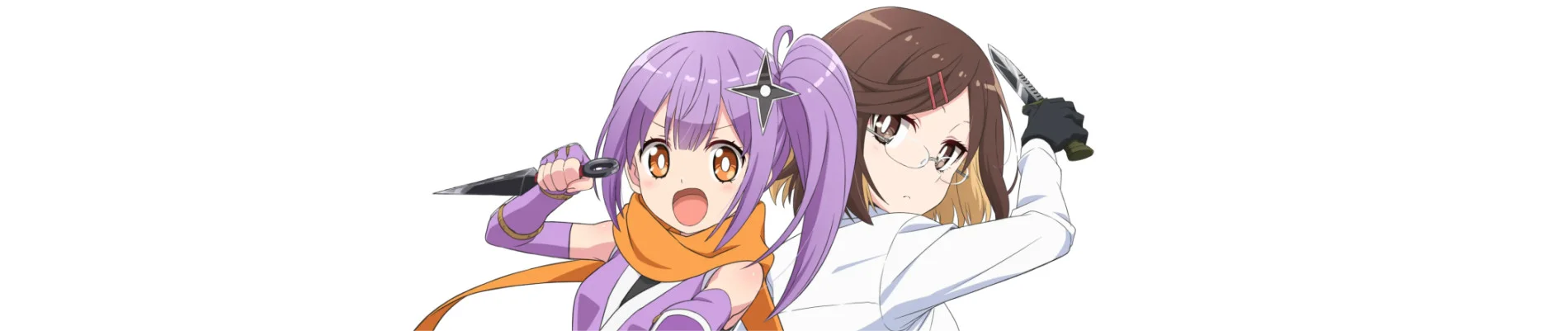 ნინძა და მკვლელი ერთ ჭერ ქვეშ - A Ninja and an Assassin Under One Roof